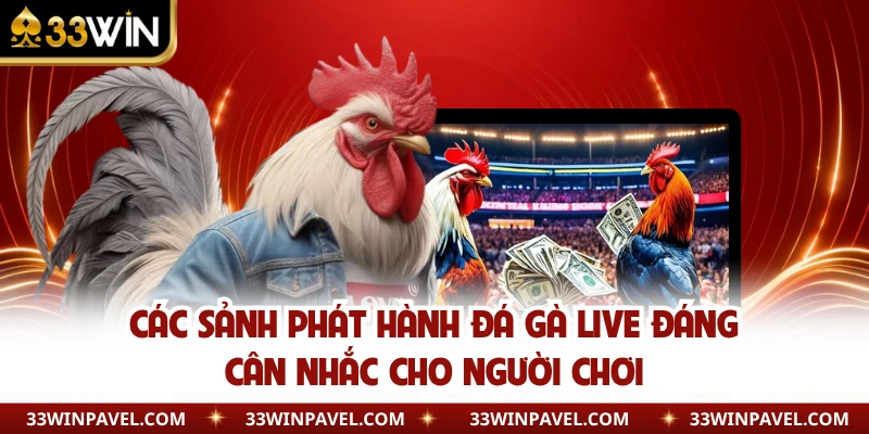 Các sảnh phát hành đá gà live đáng cân nhắc cho người chơi 