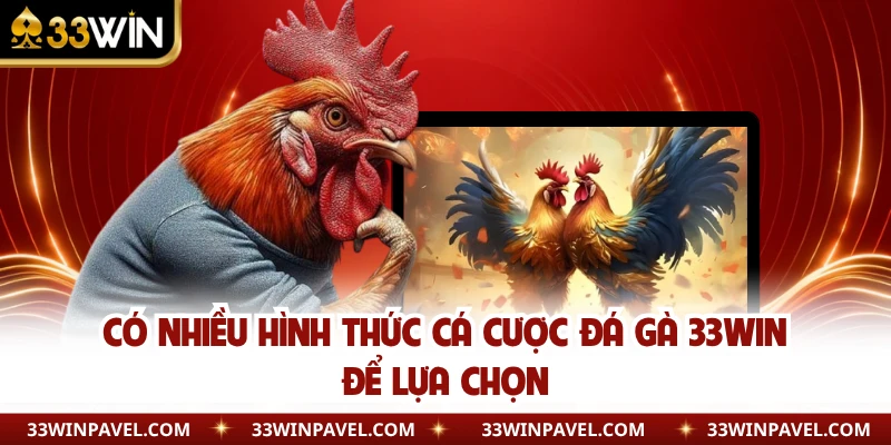Có nhiều hình thức cá cược đá gà 33WIN để lựa chọn