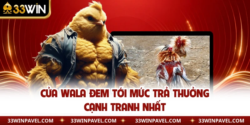Cửa Wala đem tới mức trả thưởng cạnh tranh nhất