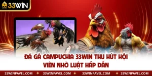 Đá Gà Campuchia 33WIN Thu Hút Hội Viên Nhờ Luật Hấp Dẫn