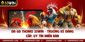 Đá Gà Thomo 33WIN - Trường Kê Đẳng Cấp, Uy Tín Miễn Bàn