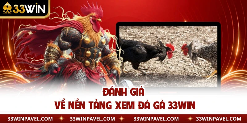 Đánh giá về nền tảng xem đá gà 33WIN