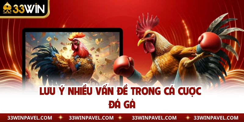 Lưu ý nhiều vấn đề trong cá cược đá gà