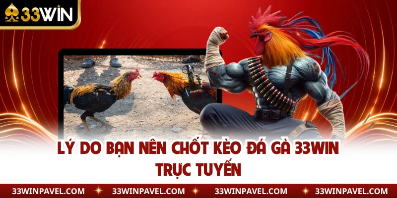 Lý do bạn nên chốt kèo đá gà 33WIN trực tuyến
