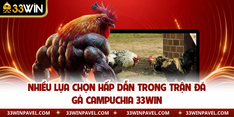 Nhiều lựa chọn hấp dẫn trong trận đá gà Campuchia 33WIN