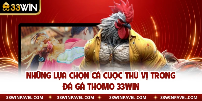 Những lựa chọn cá cược thú vị trong đá gà Thomo 33WIN 