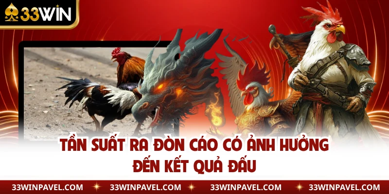 Tần suất ra đòn cáo có ảnh hưởng đến kết quả đấu