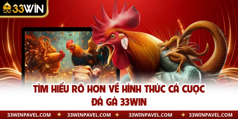 Tìm hiểu rõ hơn về hình thức cá cược đá gà 33WIN