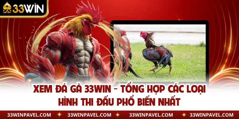 Xem Đá Gà 33WIN - Tổng Hợp Các Loại Hình Thi Đấu Phổ Biến Nhất